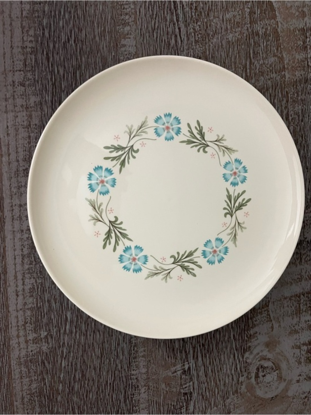 Vintage Taylor Smith & Taylor “Bridal Wreath” dinner plates set of four